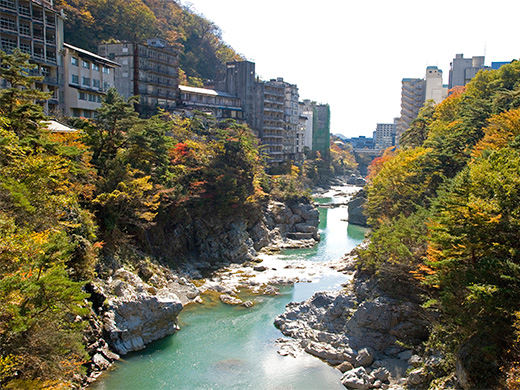 栃木特集