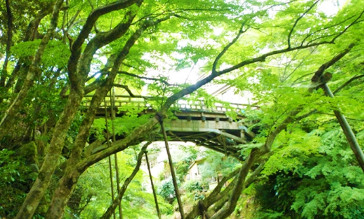 加賀温泉郷(山中・山代・片山津温泉)